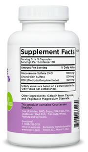 Glucosamine & Chondroitin + MSM